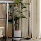 Famapy Black Tempered Glass Display Cabinet Illuminating Your Home with Style and Function
