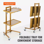 VEVOR 2 Tiers Stainless Steel Lab Carts, Lab Utility Cart with 2 Trays, Mobile Medical Cart with 4 Silent Wheels, Lab Rolling Cart