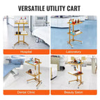 VEVOR 2 Tiers Stainless Steel Lab Carts, Lab Utility Cart with 2 Trays, Mobile Medical Cart with 4 Silent Wheels, Lab Rolling Cart