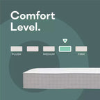 Matelas à ressorts ensachés Signature Sleep Dream On 8