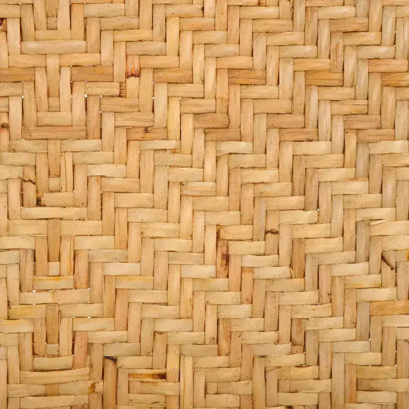 Chaise de salle à manger Callidora - DCH6509 - Naturel/Noir - Safavieh