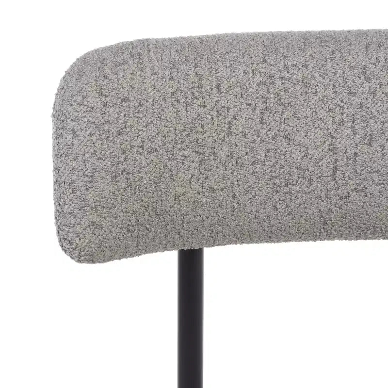 Chaise de salle à manger Andrean (lot de 2) - DCH3900 - Safavieh