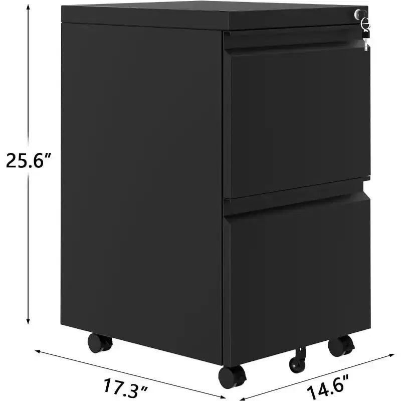 Acekool Meuble de rangement vertical à 2 tiroirs avec serrure, Organiseur de dossiers en métal pour bureau à domicile ou salle de bain, Format lettre/légal, Noir