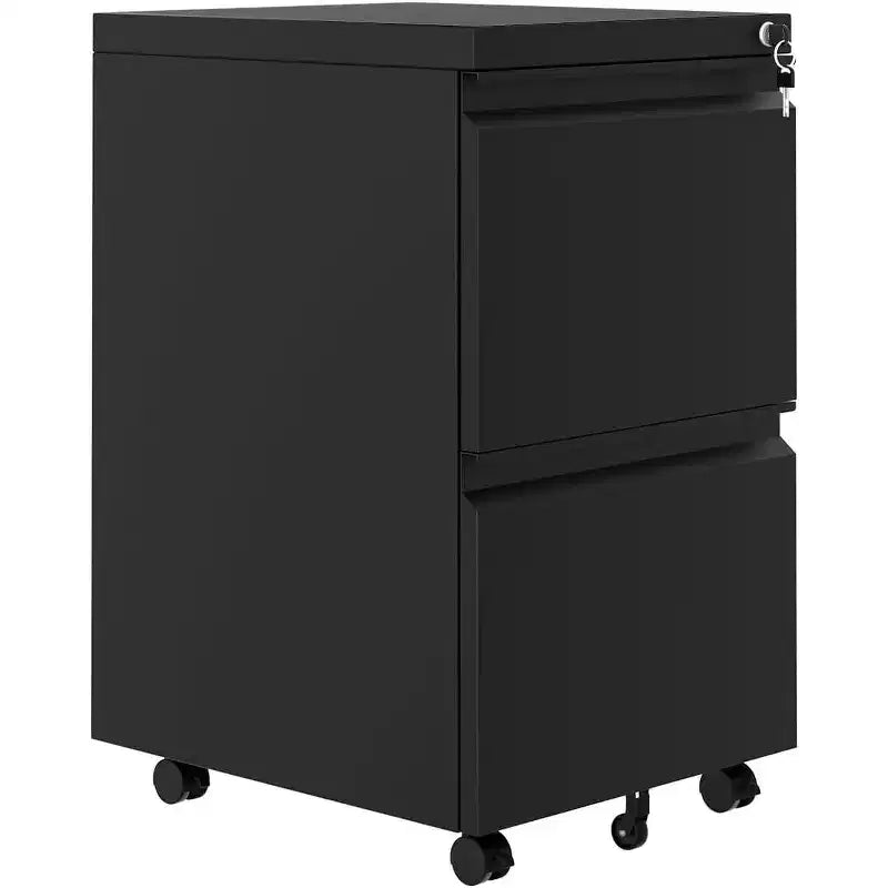 Acekool Meuble de rangement vertical à 2 tiroirs avec serrure, Organiseur de dossiers en métal pour bureau à domicile ou salle de bain, Format lettre/légal, Noir