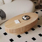Table basse ovale moderne de 47 pouces avec rangement, table d'appoint avec plateau amovible pour salon ou appartement - Panipeachy