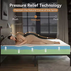 Matelas double Sailvan, matelas en mousse à mémoire de forme de 8 pouces en boîte, matelas en gel rafraîchissant à sensation moyenne et certifié CertiPUR-US
