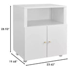 Mobile Metal File Cabinet with Doors and Lock, Adjustable Shelf, Under Desk Storage Organizer, for Home, Office