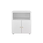 Mobile Metal File Cabinet with Doors and Lock, Adjustable Shelf, Under Desk Storage Organizer, for Home, Office