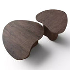 Lot de 2 tables basses modernes en forme de cœur, tables d'appoint gigognes, petit ensemble de tables basses décoratives pour salon ou appartement - Panipeachy