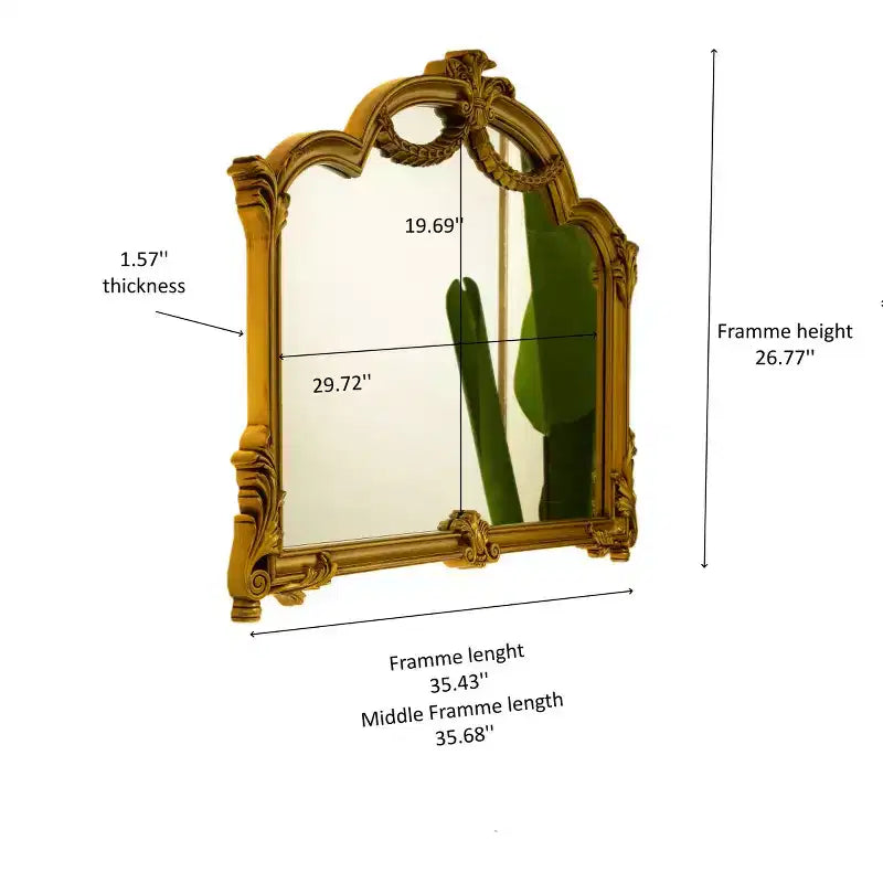 Miroir mural baroque 35 avec cadre en PU orné, bande lumineuse rétroéclairée, miroir décoratif pour salle de bain, chambre ou salon-Panipeachy