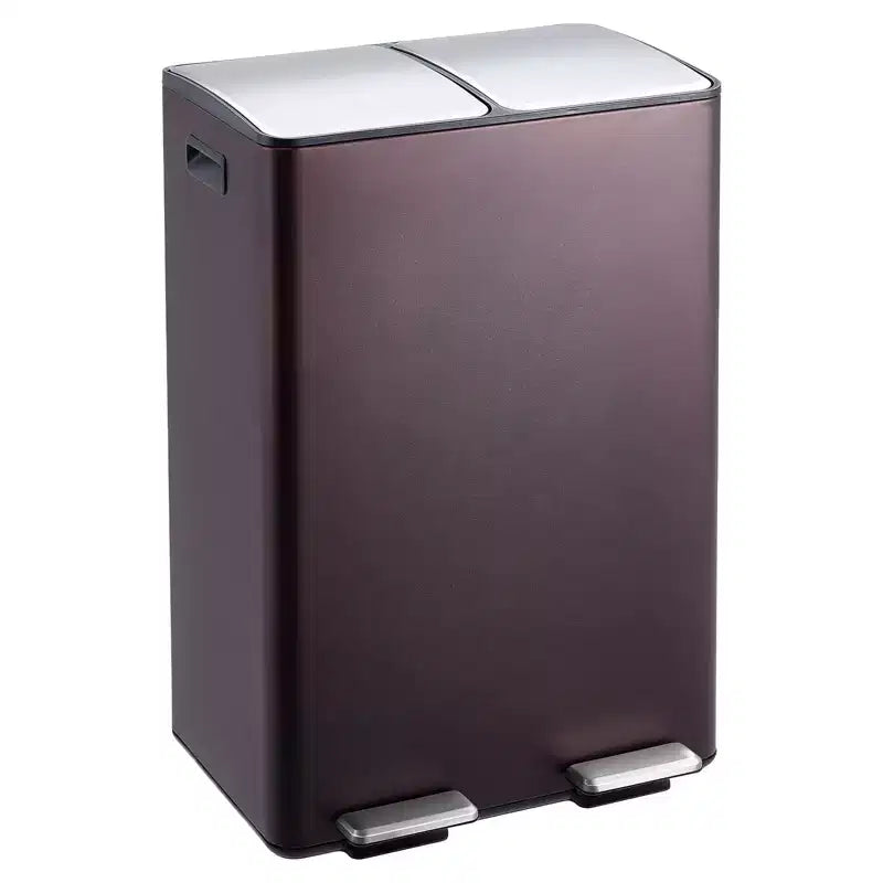 Poubelle de cuisine avec couvercle, 60L (2 x 30L) à double compartiment en acier inoxydable, poubelle de recyclage combinée avec pédales indépendantes