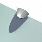 vidaXL Étagère flottante en verre de sécurité trempé transparent 100x20 cm