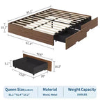 Cadre de lit plateforme Queen Size en bois avec 2 tiroirs de rangement, support à lattes pour matelas sans tête de lit, pas besoin de sommier, montage facile
