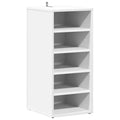 vidaXL Shoe Cabinet White Engineered Wood 12.4x13.8x27.6 in Shoe Cabinet