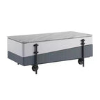 Table basse Acme Furniture Wilkins fini blanc/gris
